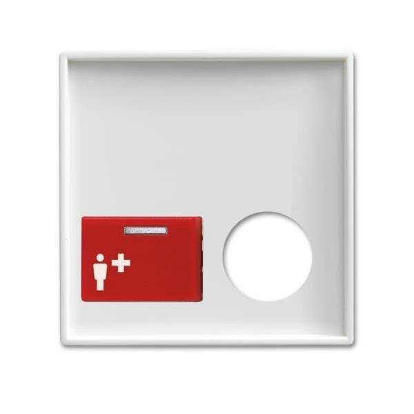 Busch-Jaeger Zentralscheibe alpinws 2548-022 B-914