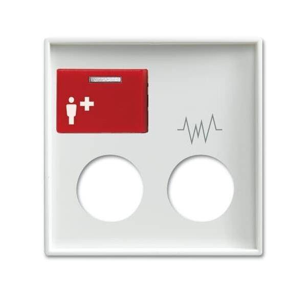 Busch-Jaeger Zentralscheibe alpinws 2548-071 D-914