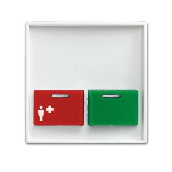 Busch-Jaeger Zentralscheibe alpinws 2548-642 B-914