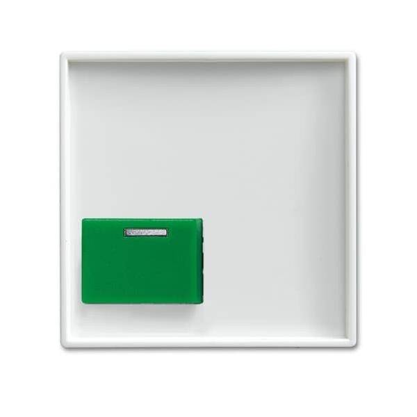 Busch-Jaeger Zentralscheibe alpinws 2548-642 C-914