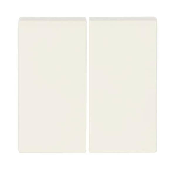 Busch-Jaeger Wippe elfenb/ws 6736 FoH-82