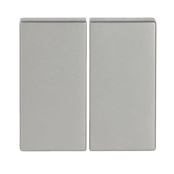 Busch-Jaeger Wippe eds 6736 FoH-866