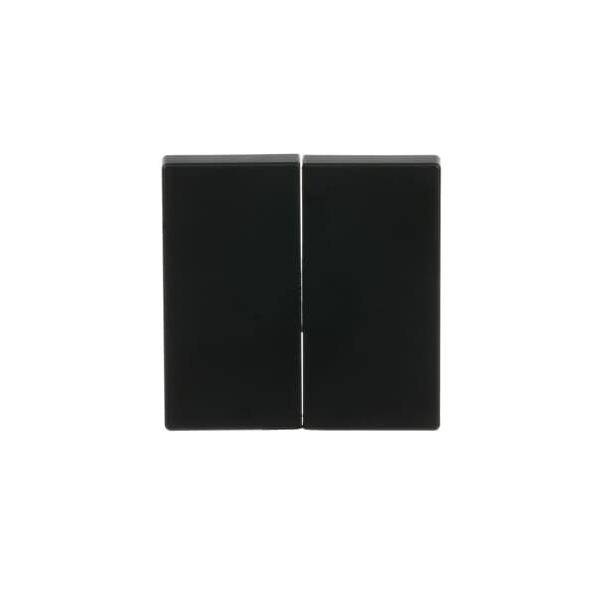 Busch-Jaeger Wippe sw/mt 6736 FoH-885