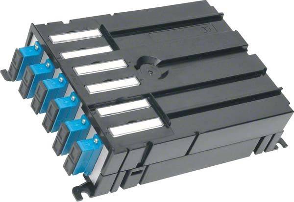 Tehalit Sammelpunkt G8364