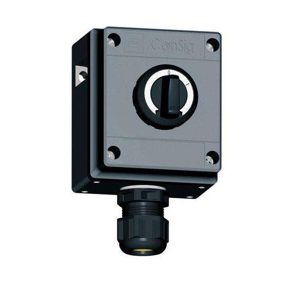 Stahl Befehlsgerät 8040/1180X-26M01SA05