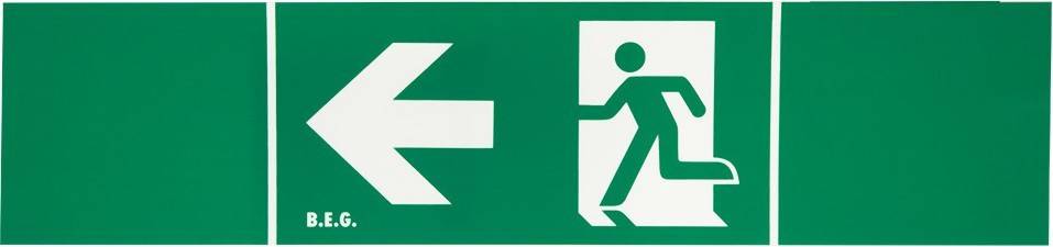 BEG Brück Electronic Piktogramm 5493