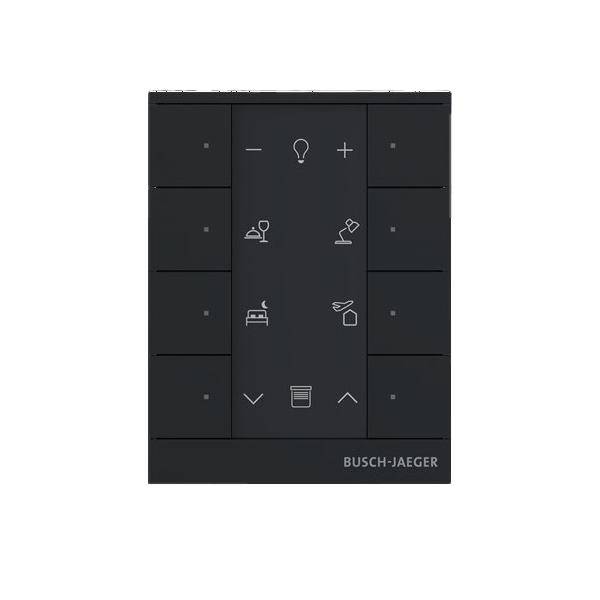 Busch-Jaeger Bedienelement SB-F-8.0.11-885