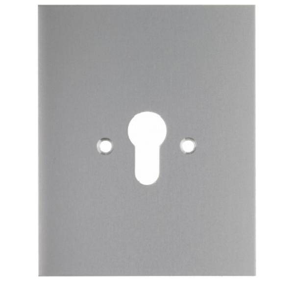 Berker Abdeckung 1904