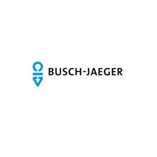 10 Stk. Busch-Jaeger Tastersymbol 2525-13
