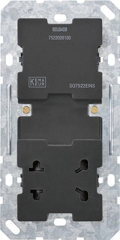 Jung Einsatz Rasiersteckdose SO 7522 EINS