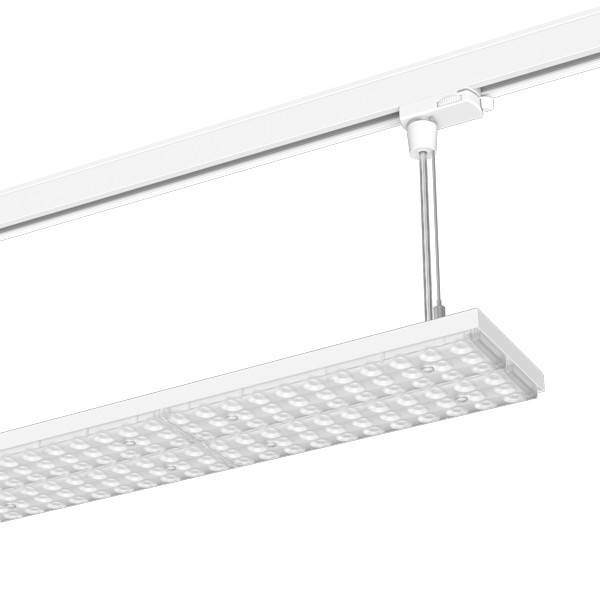 LTS Licht&Leuchten LED-Stromschienenleuchte LUZ-P23 105 #666810