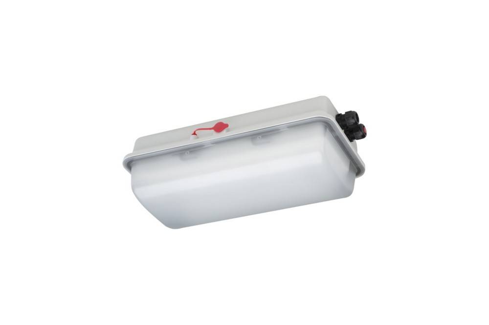 Schuch Licht EX-LED-Notleuchte e856F L20/1/2