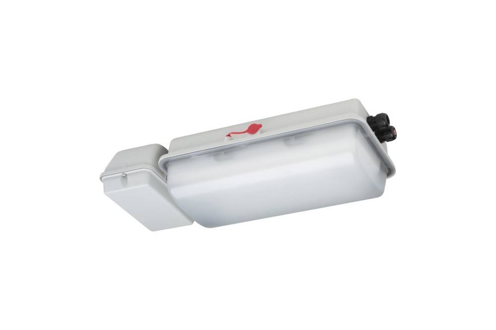 Schuch Licht LED-Ex-Notleuchte e856F L10/1/1,6 H