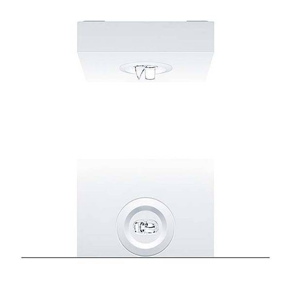 Zumtobel Group Sicherheitsleuchte RESCLITE P #42929789