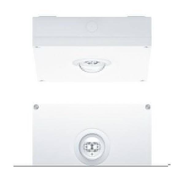 Zumtobel Group LED-Sicherheitsleuchte RESCLITE P #42930003
