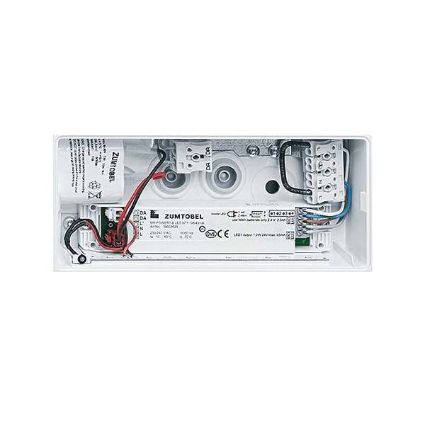 Zumtobel Group LED-Sicherheitsleuchte ERGOSIGN #42186006