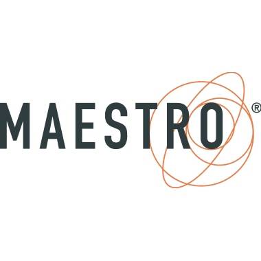 MAESTRO Kopierpapier Standard Plus 94928B80B A3 80g ws 500 Bl./Pack