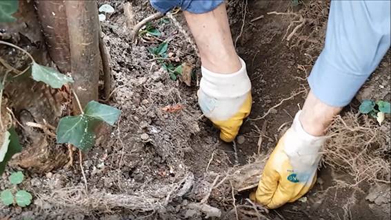 SELVA Handkettensäge mit verchromter Kette, Ausführung extra plus mit langer Kette