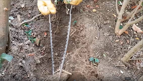 SELVA Handkettensäge mit verchromter Kette, Ausführung extra plus mit langer Kette