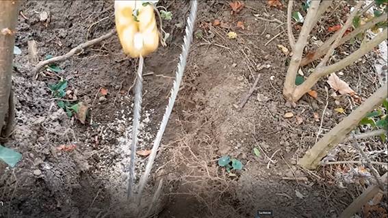 SELVA Handkettensäge mit verchromter Kette, Ausführung extra plus mit langer Kette