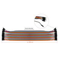 kabelmeister® Jumper Wire 40-Pin trennbare Adern für Arduino, Raspberry Pi etc., Stecker an Stecker, AWG28, 20cm kabelmeister® Jumper Wire 40-Pin trennbare Adern für Arduino, Raspberry Pi etc., Stecker an Stecker, AWG28, 20cm
