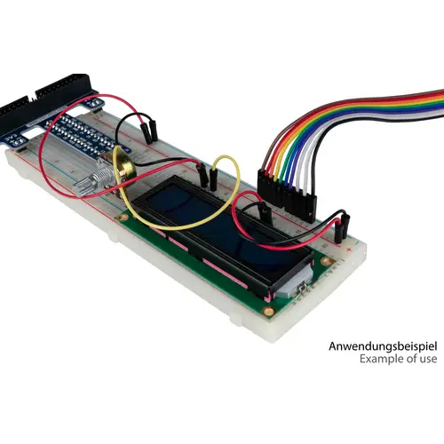 kabelmeister® Jumper Wire 40-Pin trennbare Adern für Arduino, Raspberry Pi etc., Buchse an Buchse, 5er-Set, 40cm kabelmeister® Jumper Wire 40-Pin trennbare Adern für Arduino, Raspberry Pi etc., Buchse an Buchse, 5er-Set, 40cm