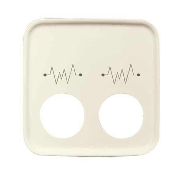 Busch-Jaeger Zentralscheibe ws 2548-021 G-212