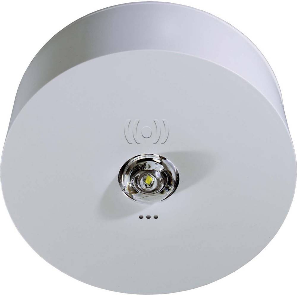 RP-Technik Sicherheitsleuchte ILDK423SC