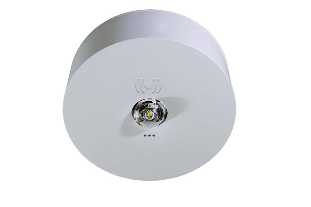 RP-Technik Sicherheitsleuchte ILDK423SC