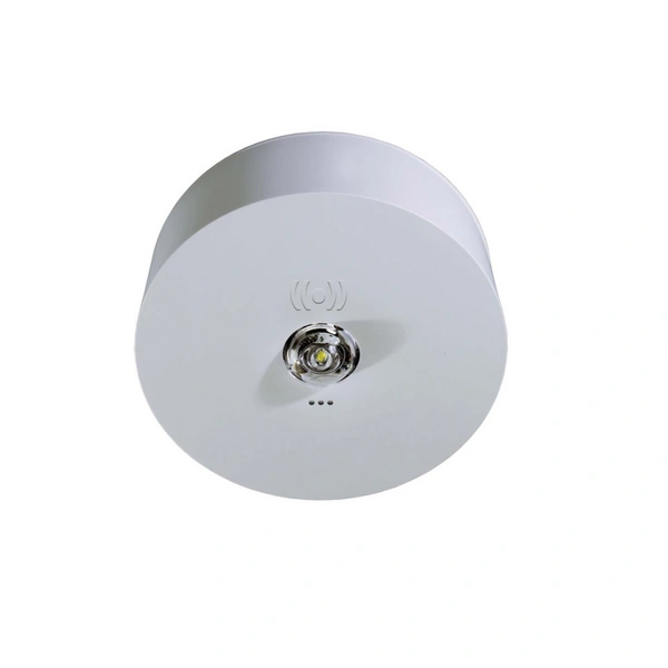 RP-Technik Sicherheitsleuchte ILDK423SC RP-Technik Sicherheitsleuchte ILDK423SC