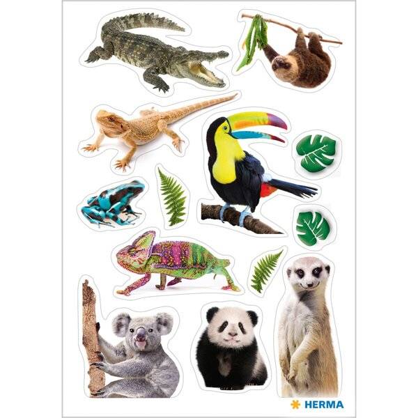Schmucketikett DECOR Exotische Tiere