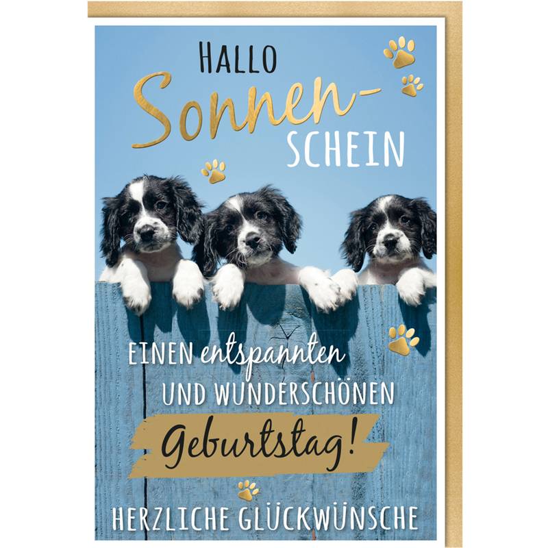 SUSY CARD Geburtstagskarte Humor "Mischlingshunde"