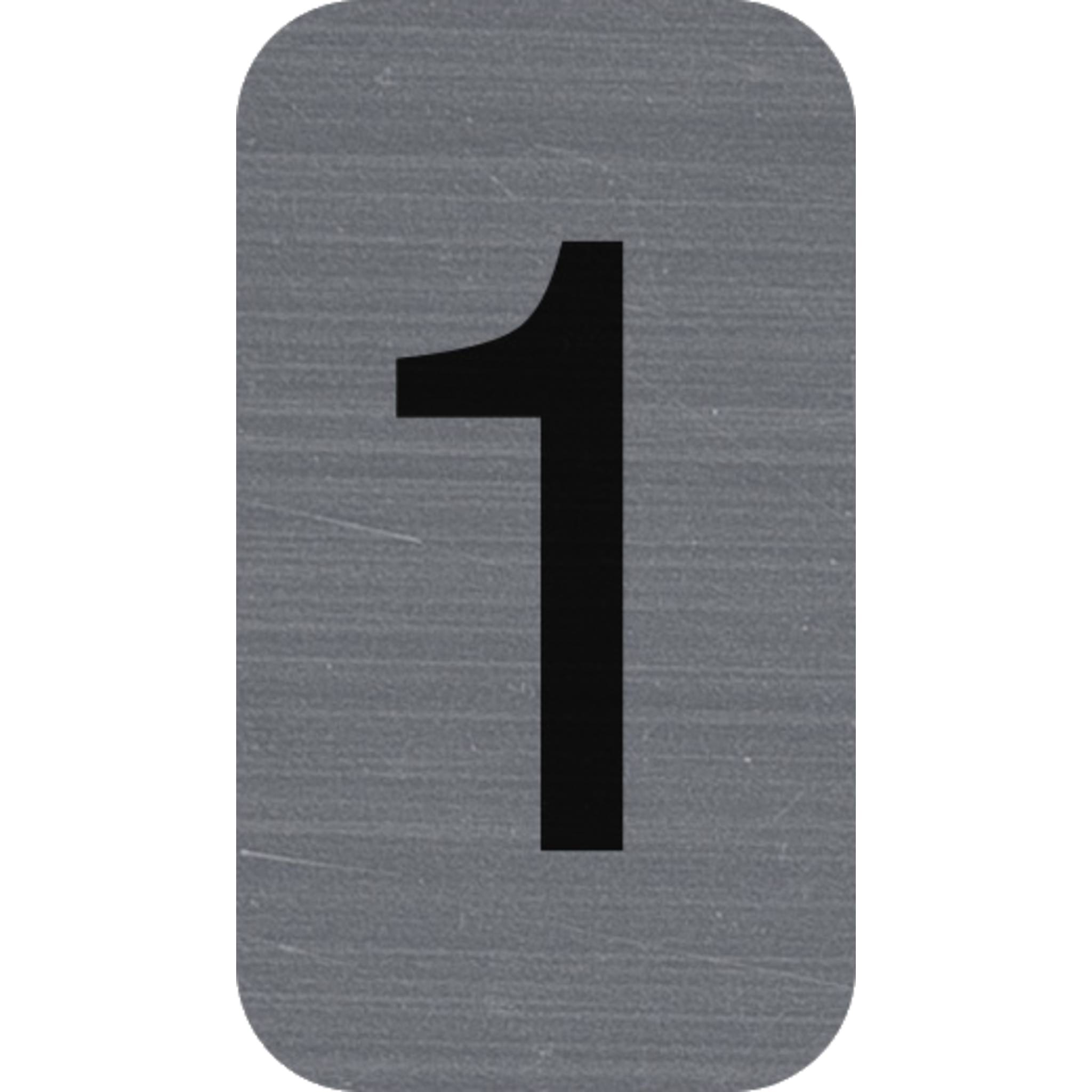 Exacompta Hinweisschild selbstklebend Aluoptik Ziffer 1 25x4,4 cm Grau 67181E