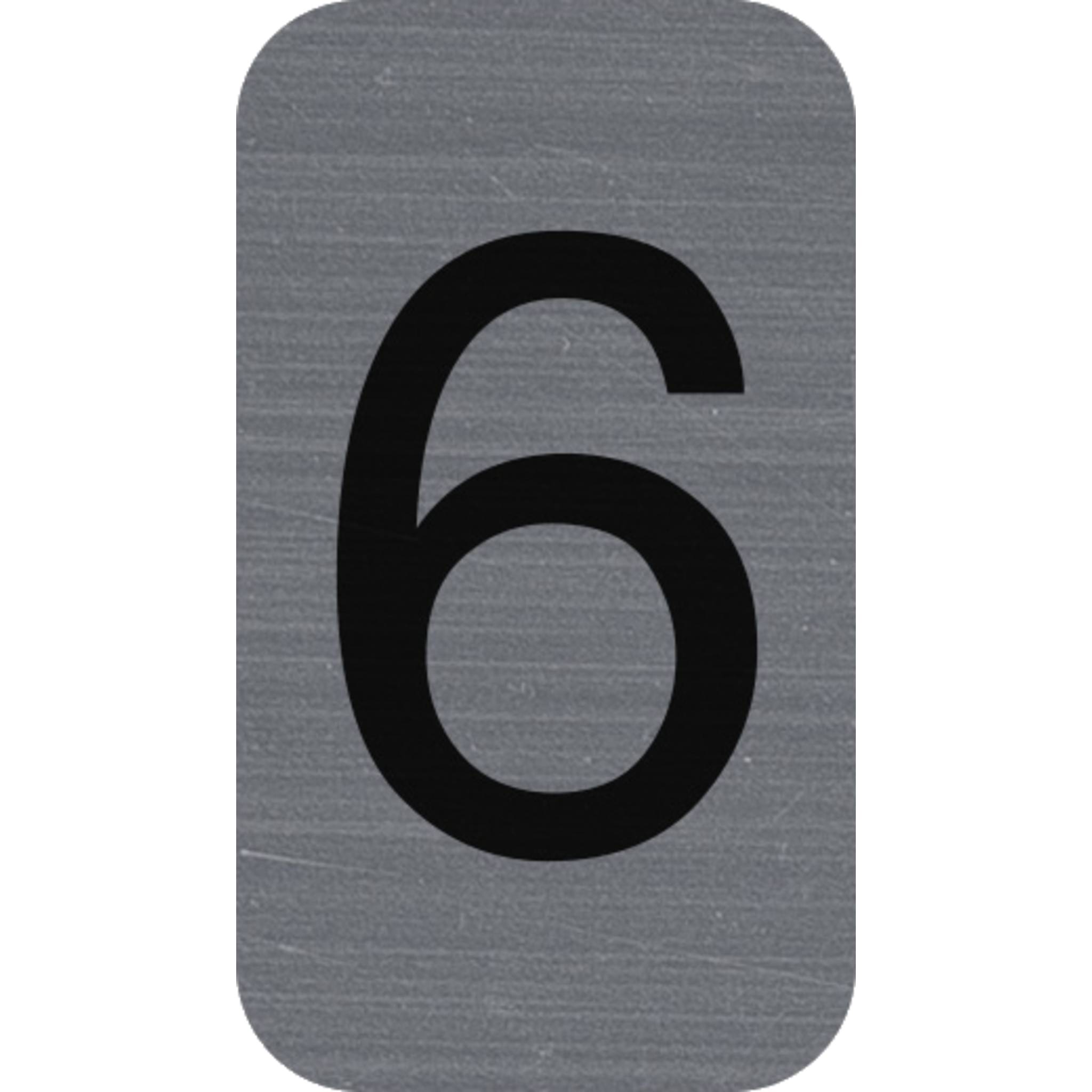 Exacompta Hinweisschild selbstklebend Aluoptik Ziffer 6 25x4,4 cm Grau 67186E