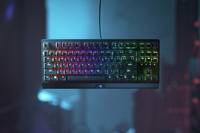 Razer Blackwidow V3 Tenkeyless - Standard - USB - Mechanischer Switch - QWERTY - RGB-LED - Schwarz