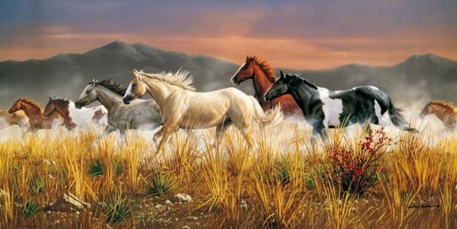 Clementoni 38006 - 13200 Teile Puzzle - High Quality Collection - Band Of Thunder