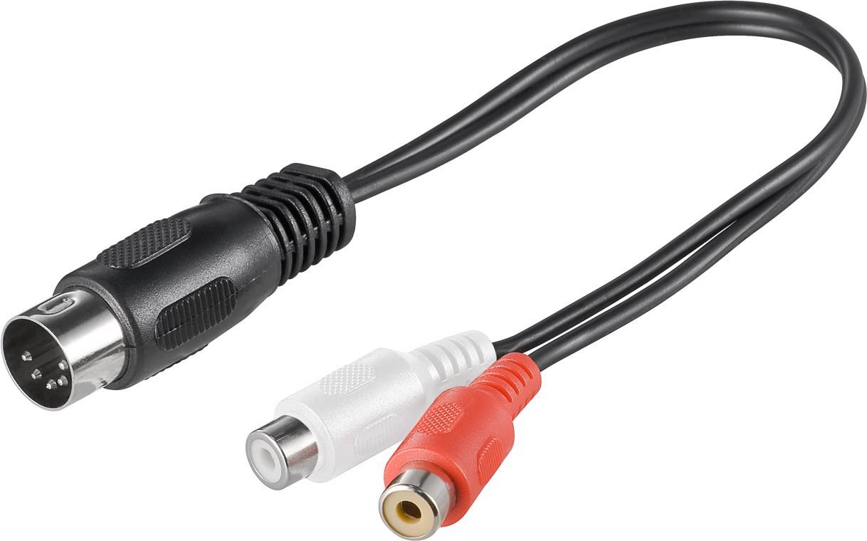 Schwarzes Kabel mit einem 5-poligen DIN-Stecker auf der einen Seite und roten/weißen RCA-Audiosteckern auf der anderen Seite.