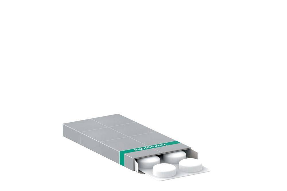 hansgrohe HG Reinigungsmittel F22