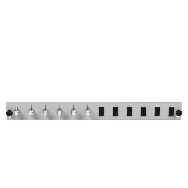 Bestückte 12 Port Frontblende mit 6 x LC -- Duplex Kupplung OS2 vertikal, grau Glasfaserverkabelung