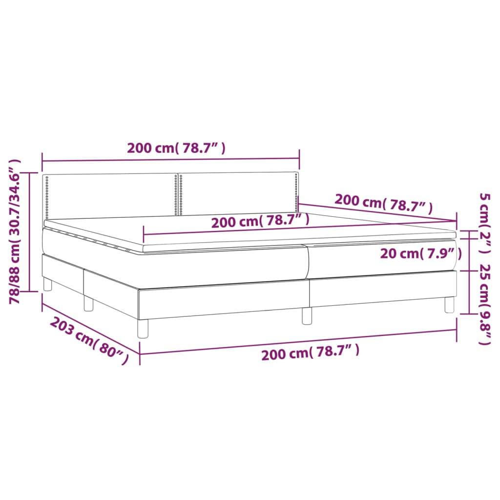 vidaXL Boxspringbett mit Matratze & LED Dunkelgrau 200x200 cm Stoff