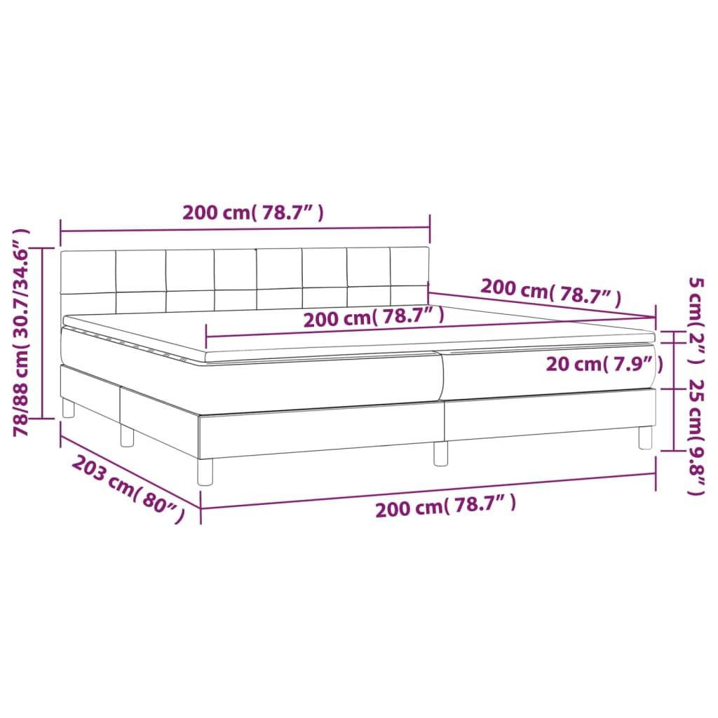 vidaXL Boxspringbett mit Matratze & LED Hellgrau 200x200 cm Stoff