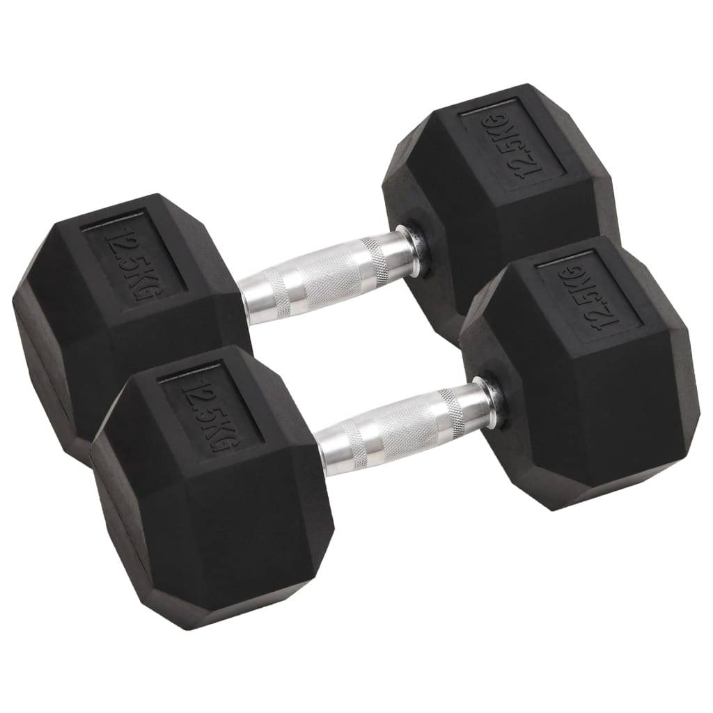 vidaXL Kurzhanteln 2 Stk. 25 kg Gusseisen