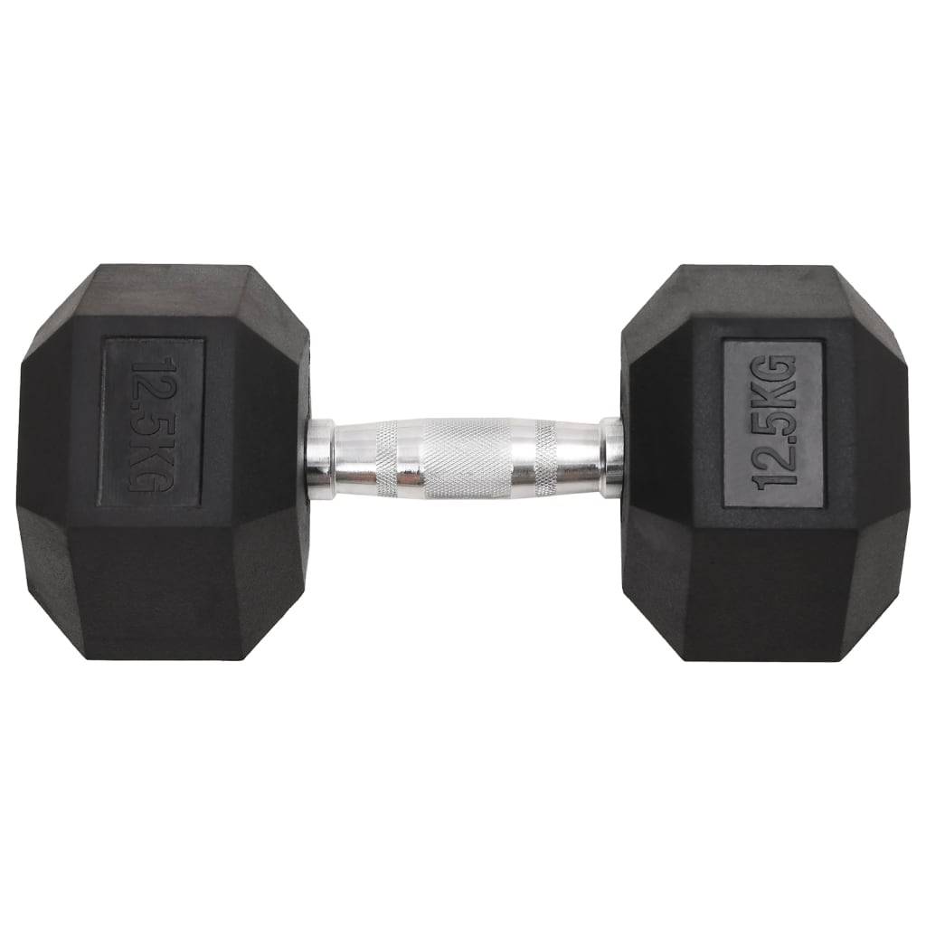 vidaXL Kurzhanteln 2 Stk. 25 kg Gusseisen