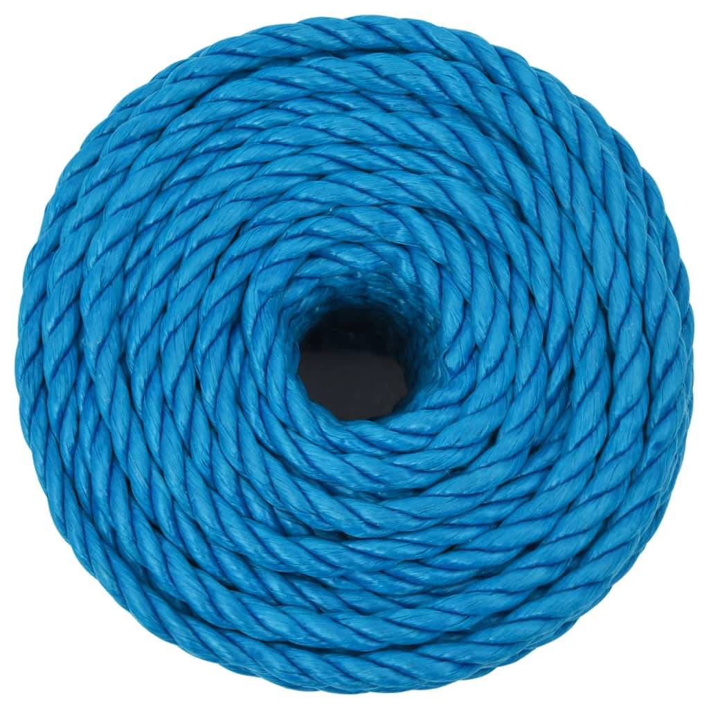 vidaXL Arbeitsseil Blau 12 mm 25 m Polypropylen