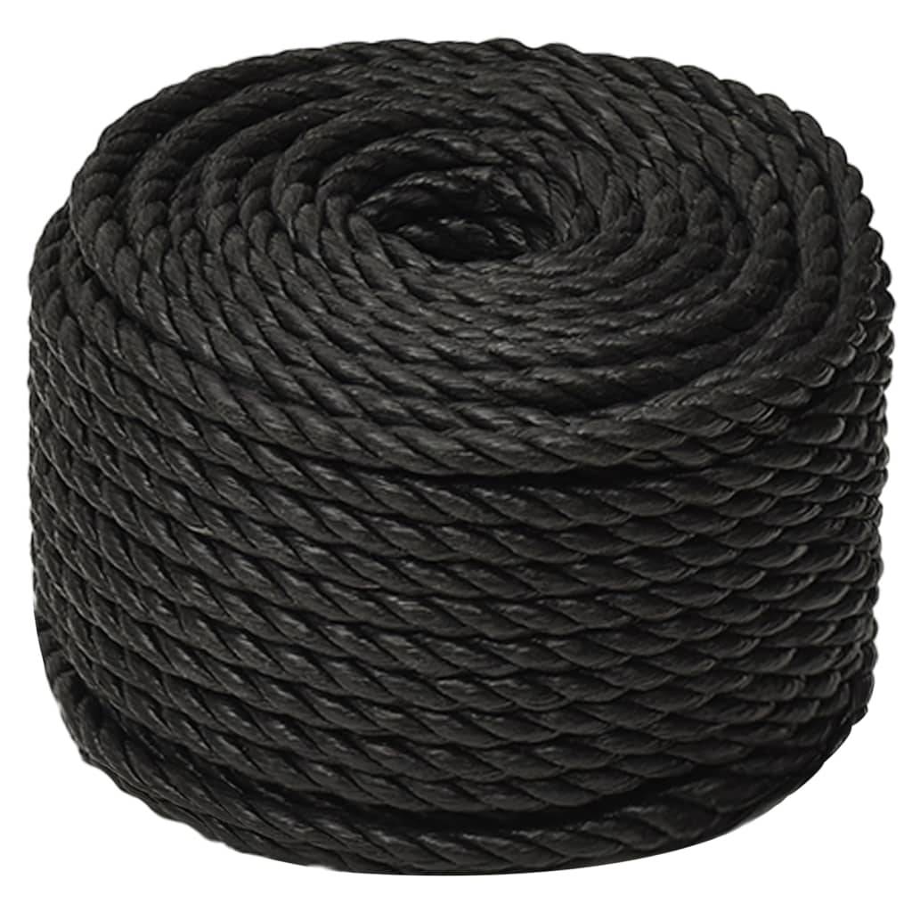 vidaXL Arbeitsseil Schwarz 10 mm 50 m Polypropylen