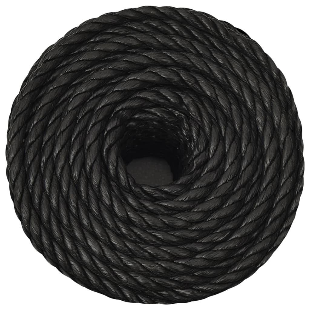 vidaXL Arbeitsseil Schwarz 10 mm 50 m Polypropylen