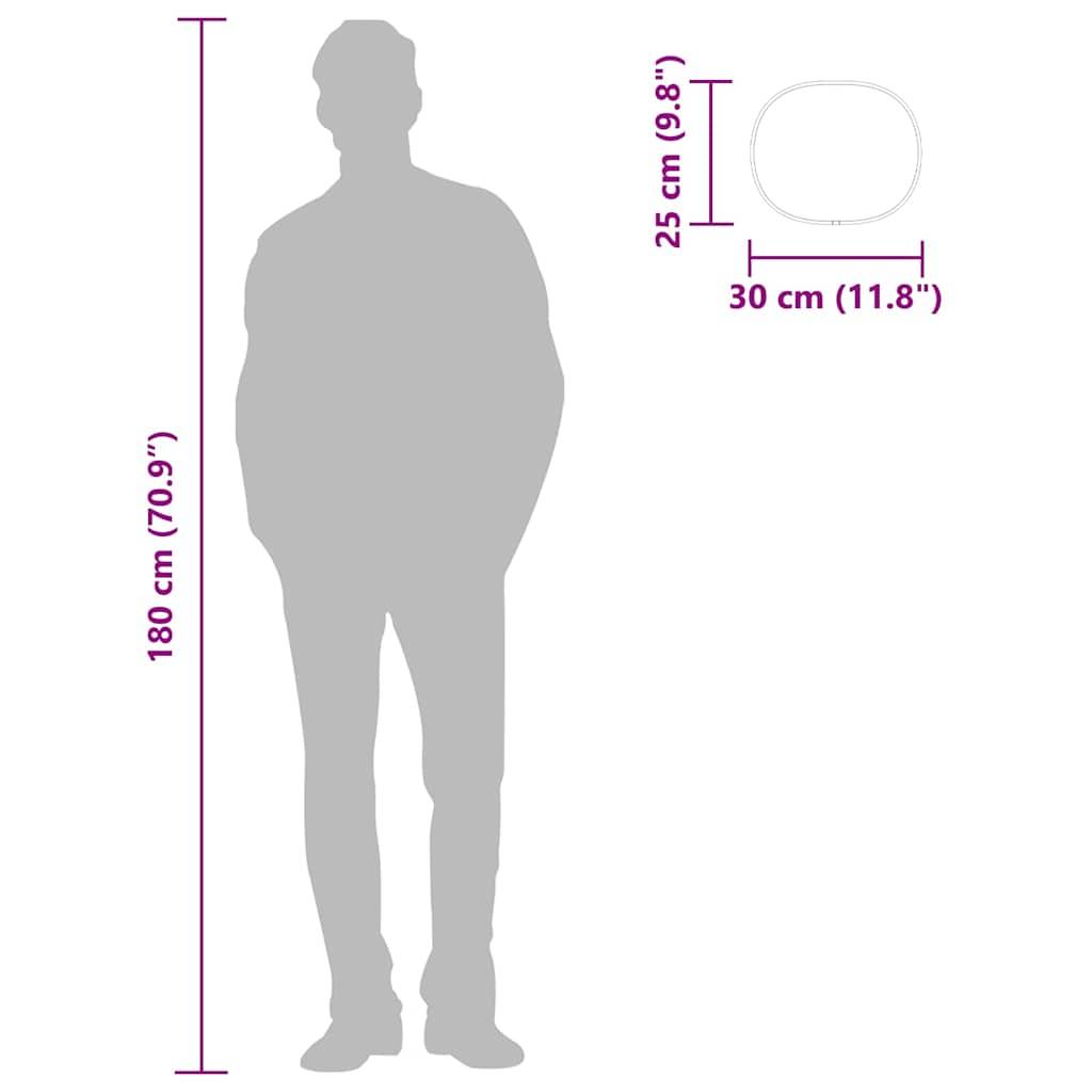 vidaXL Wandspiegel Schwarz 30x25 cm