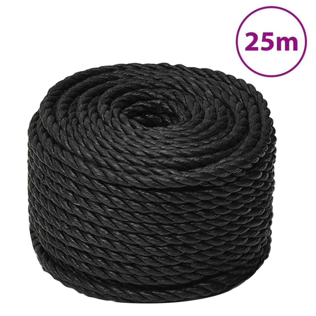 vidaXL Arbeitsseil Schwarz 10 mm 25 m Polypropylen