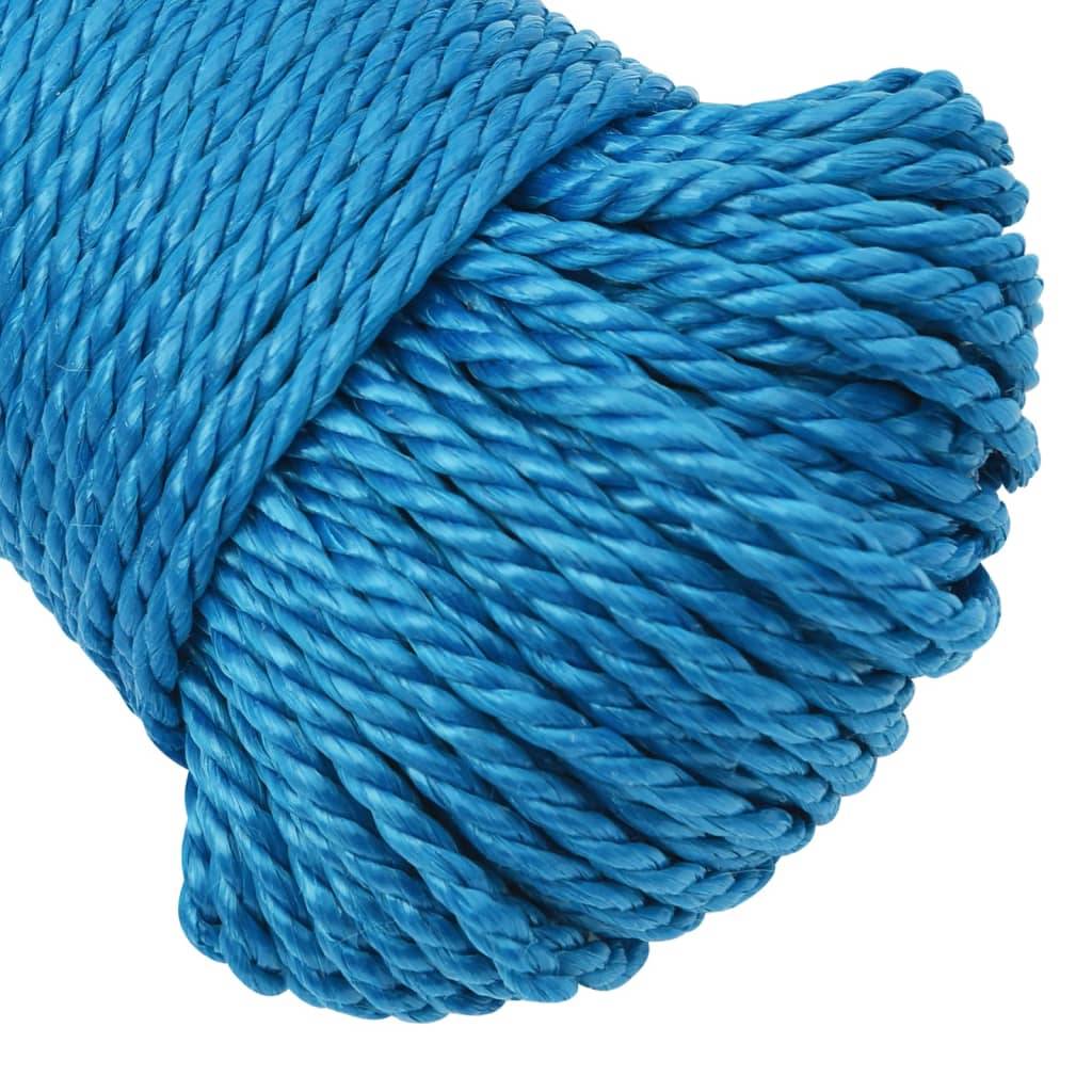 vidaXL Arbeitsseil Blau 8 mm 100 m Polypropylen