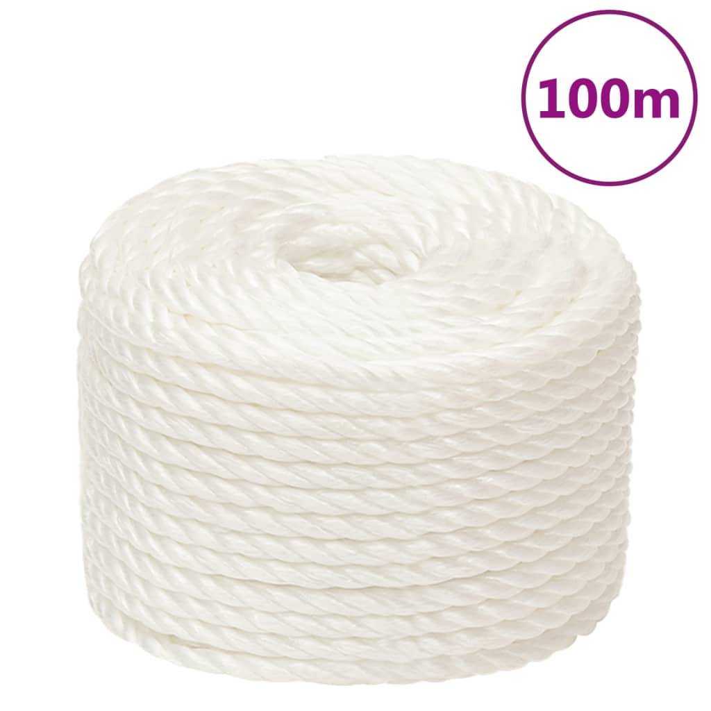 vidaXL Arbeitsseil Weiß 10 mm 100 m Polypropylen